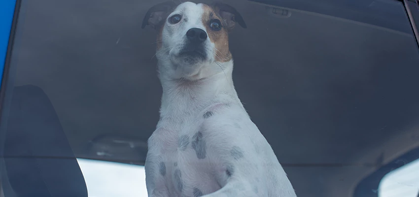 Car Lockout Solutions in Coalinga, California